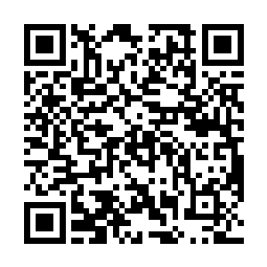 此刻他就感觉自己就是和那些超级明星一样的风云人物二维码生成