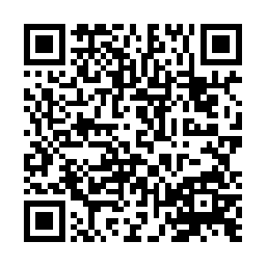 此刻他已经将已一股强大的灵元都注入到了玄金神剑之中二维码生成