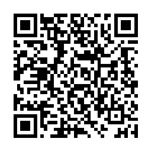 此刻他已经拼尽全力想要攻破这机械巨兽的数据防线二维码生成