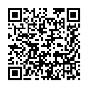 此刻他已经没有时间来思考叶尊是如何对付火冥二维码生成