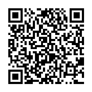此刻他运用的正是在血海大神通上演化成的一种手段二维码生成