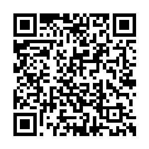 此刻众人再也没有了之前那样对着苏凡恨之入骨二维码生成