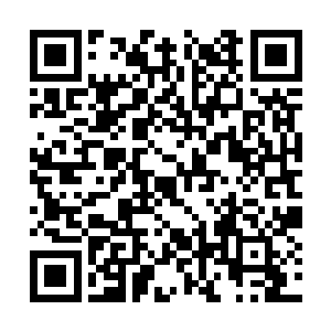 此刻众人正站在一块巨大的岩石上看着无尽的大海二维码生成