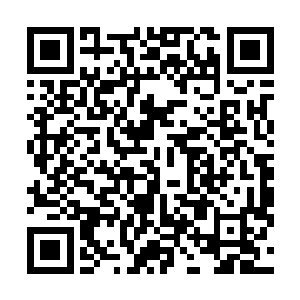 此刻众人皆是大吼一声顿时朝着各自面前的圣骑冲了过去二维码生成