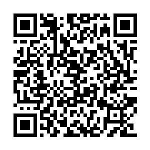 此刻包围着苏凡等人的黑衣人就要朝着苏凡出手二维码生成