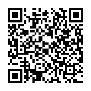 此刻千夜初见天穹屏障破碎后异景的震撼已经过去二维码生成