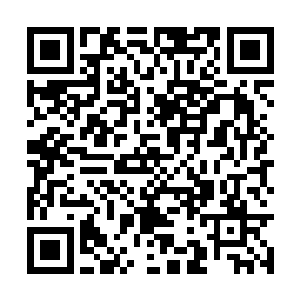 此刻千夜手中的曼殊沙华已能与深黯祝福平分秋色二维码生成