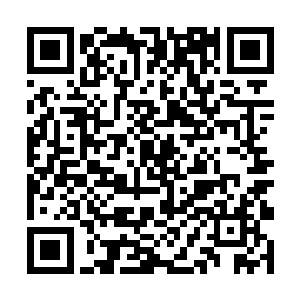 此刻却毫无形象地盘膝坐在一口黑不溜秋的大锅旁边二维码生成