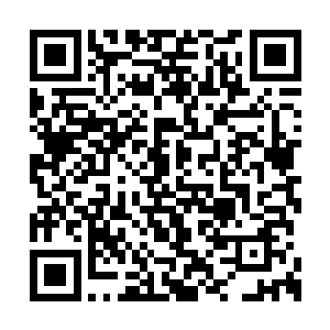 此刻却纷纷聚精会神的向着擂台之上的二人望去二维码生成