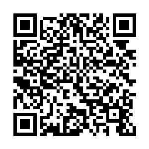 此刻原本坐着的东方天纵额头上渐渐冒出了细汗二维码生成