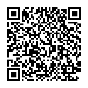 此刻只见苏凡的北斗七星拳跟着双鱼圣骑还有金牛圣骑的拳头碰上二维码生成