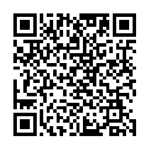 此刻只见龙王的右手不知道何时已经挡在了自己的脑袋旁边二维码生成