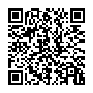 此刻和洪亚伦并排站立的二十名兄弟也个顶个都是玩枪的高手二维码生成