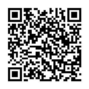 此刻围绕在四周的红蜘蛛等机械族强者也已经纷纷出手二维码生成