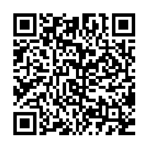 此刻在一边一直没有说话的云思凡看着苏凡的脸庞不由的问道二维码生成