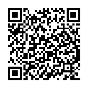 此刻在一边的阿米顿时有着不解的朝着苏凡问道二维码生成