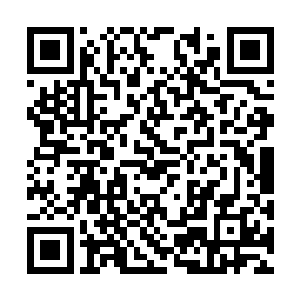 此刻在下面一名急躁的老者顿时朝着诸葛正明说道二维码生成