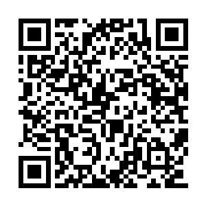 此刻在众人之中修为和战力都几乎是垫底的杨凌二维码生成