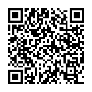 此刻在修罗的脸上不由的露出一抹淡淡的笑容看着苏凡说道二维码生成
