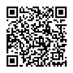 此刻在县衙办公的胥吏和差役全都被召集在了县衙大堂内二维码生成