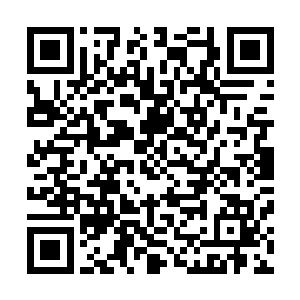 此刻在地上的射手圣骑还有双子圣骑缓缓的从地上爬了起来二维码生成