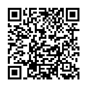 此刻在场的客人如梦清醒一般不可思议的看着眼前的苏凡二维码生成