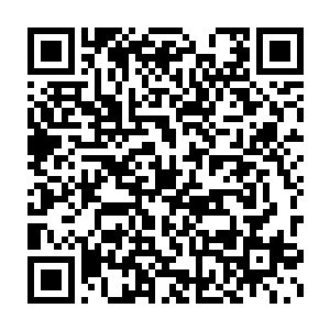 此刻在场的少年以及那名带头的少年此刻却提不起一点的反抗之力二维码生成