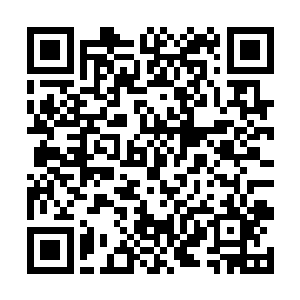 此刻在外面等候的龙王修罗等人顿时朝着苏凡询问道二维码生成