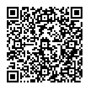 此刻在娑娜的心中也是暗暗的下定决心要将自己现在的身份当做自己从小到大的身份二维码生成