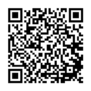 此刻在明珠的苏凡等人根本就不知道一场庞大的风暴正在酝酿着二维码生成
