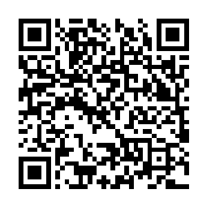 此刻在躺在地上的紫龙只感觉自己的脑袋有些迷糊二维码生成