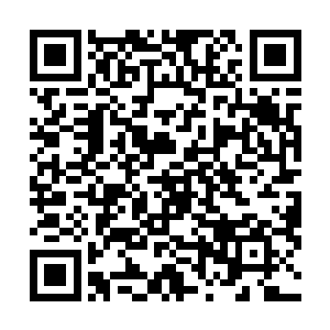 此刻场外那群师生看到事情一步步的按照苏落计划中的走二维码生成