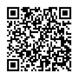 此刻坐在她面前的可不是她的那些一年级小学生二维码生成