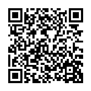 此刻天蝎圣骑依旧是白天那副冷冰冰的样子对着金牛圣骑说道二维码生成