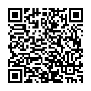 此刻天蝎的脸上也是露出了一抹苏凡等人从来没有见过的笑容二维码生成