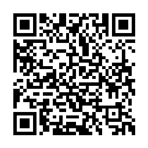 此刻她的脸上已经看不出刚才心中的失落和难过二维码生成