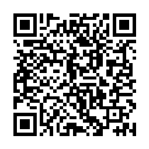 此刻她脸上的手已经出现一个个黄豆般大小的燎泡了二维码生成