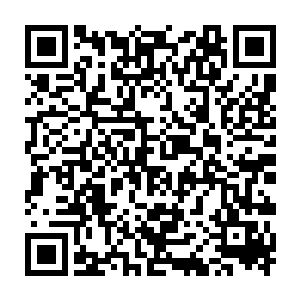 此刻它体内刚刚吞下的十几头三阶巅峰土甲犀正在被消化的关键时刻二维码生成