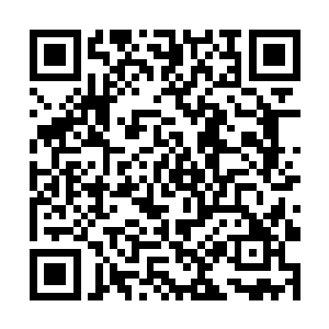 此刻安琪儿背后的火凤虚影虽然没有彻底凝聚成实体二维码生成