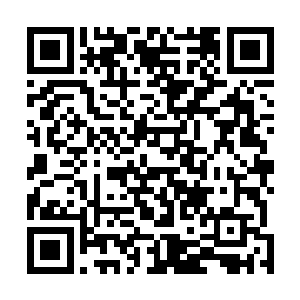 此刻射手圣骑和双子圣骑顿时就朝着苏凡的肩膀抓了过去二维码生成