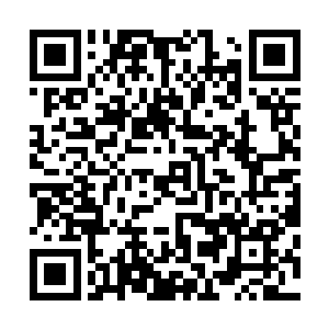 此刻居然连一个孙子辈的年轻人拿回来的东西都鉴定不出来二维码生成