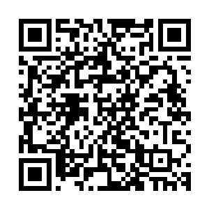 此刻已经在超近距离观看的金在珉感觉自己唯一的感受就是头晕二维码生成