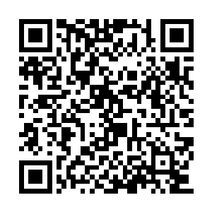 此刻已经对着苏凡等人产生了一股莫名的恐惧感二维码生成