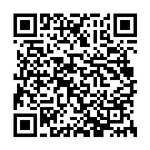 此刻徐天涯用手狠狠抓在南天风身上的捆仙索上二维码生成