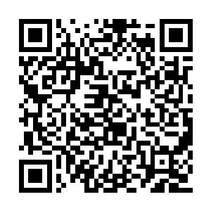 此刻忽然出手之人显然也是实力极为强悍的存在二维码生成