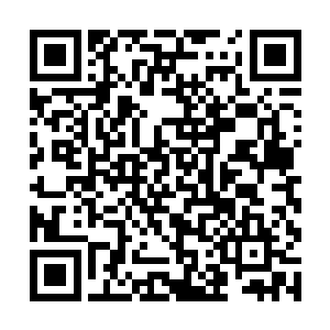 此刻怀柔白暂的脖子上面已经留下了一道深深的红印二维码生成