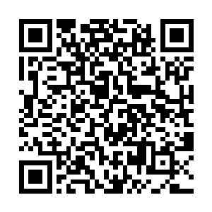 此刻恐怕元神已经被这道雷针电丝的攻击手段重创了二维码生成