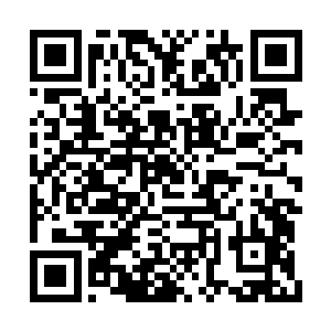此刻恐怕早就要被这二阶太阴真火的余威烧伤了二维码生成