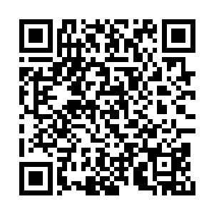 此刻感受到头发传来疼痛的龙王顿时送开了嘴巴二维码生成