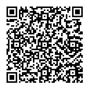 此刻愤怒依旧还在那血色祭坛之中利用亿万万虫族生灵的精血和力量来磨砺自己那一点极致的杀意二维码生成